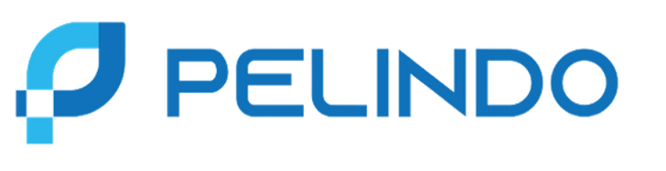 Client 12